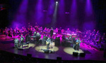Steve Hackett & Band + Orchester (c) by Lee Millward